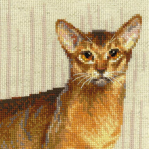 Abyssinian Cats siuvinėjimo rinkinys iš RIOLIS Nr.: 1671HOBI.LT 🇱🇹