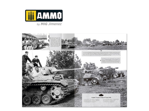 AMMO by MIG Italienfeldzug 4 tomas: Vokiečių tankai Italijoje 1943–1945 (EN)
