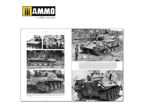 Knyga AMMO MIG Italienfeldzug II: Vokiečių tankai Italijoje 1943–1945 (6263)