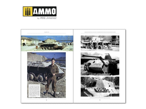 Knyga AMMO MIG Italienfeldzug II: Vokiečių tankai Italijoje 1943–1945 (6263)