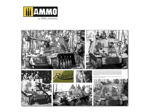 Knyga AMMO MIG Italienfeldzug II: Vokiečių tankai Italijoje 1943–1945 (6263)