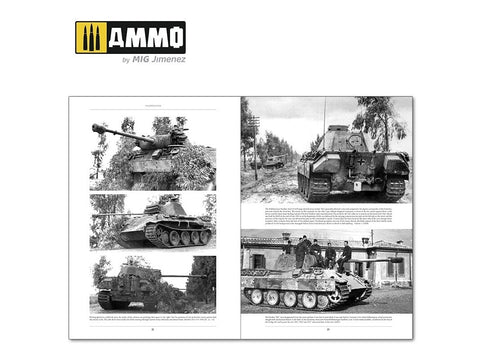 Knyga AMMO MIG Italienfeldzug II: Vokiečių tankai Italijoje 1943–1945 (6263)