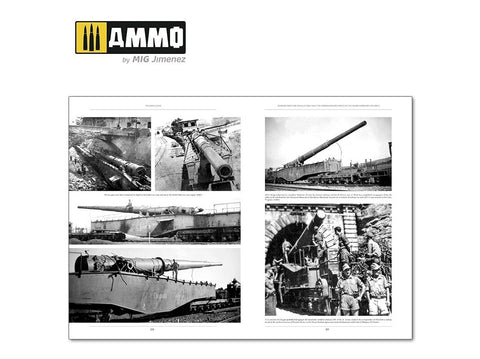 Knyga AMMO MIG Italienfeldzug II: Vokiečių tankai Italijoje 1943–1945 (6263)