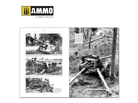 Knyga AMMO MIG Italienfeldzug II: Vokiečių tankai Italijoje 1943–1945 (6263)