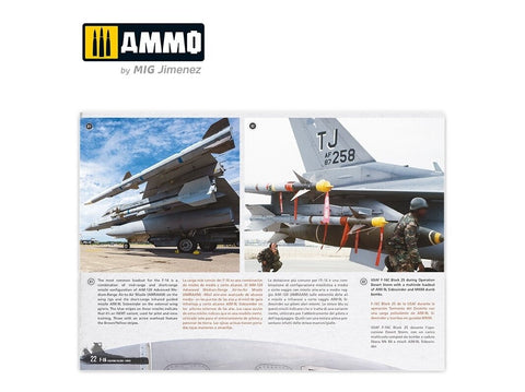AMMO MIG F-16 Fighting Falcon/Viper vizualinis gidas knyga, daugiakalbė 6029