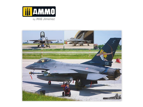 AMMO MIG F-16 Fighting Falcon/Viper vizualinis gidas knyga, daugiakalbė 6029