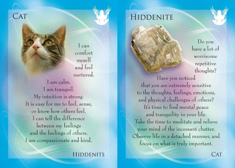 Animal Allies And Gemstone Guardians kortos