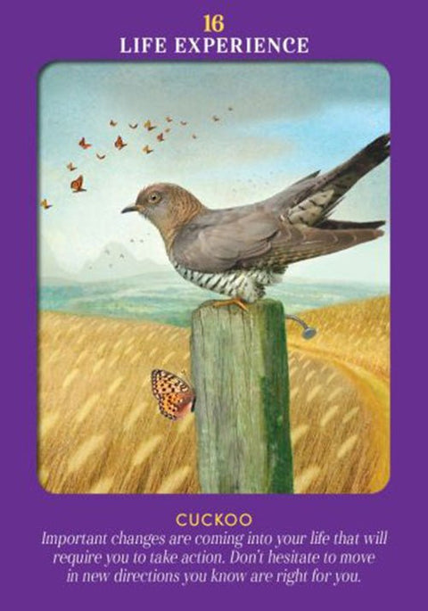 Hay House: Animal Guides Tarot kortos Hay House - HOBI.LT 🇱🇹