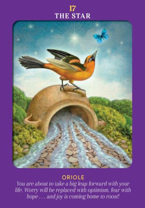 Hay House: Animal Guides Tarot kortos Hay House - HOBI.LT 🇱🇹