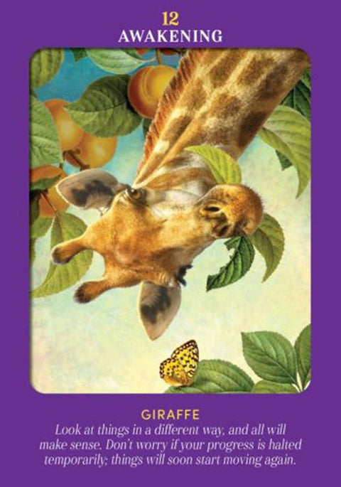 Hay House: Animal Guides Tarot kortos Hay House - HOBI.LT 🇱🇹