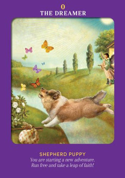 Hay House: Animal Guides Tarot kortos Hay House - HOBI.LT 🇱🇹