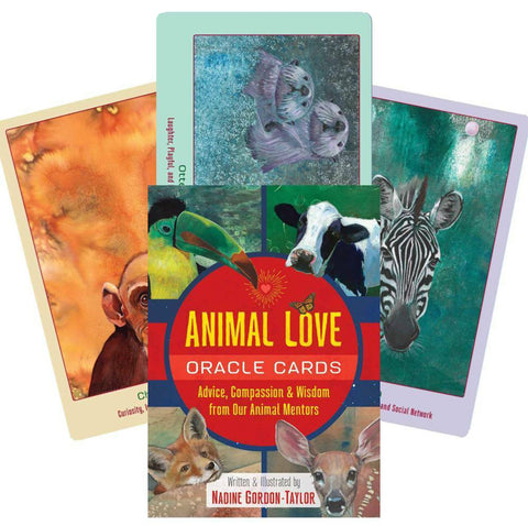 Animal Love orakulų kortos, Nadine Gordon‑Taylor iliustruotas rinkinys su ryškiu dangteliu ir keliais fanuotais gyvūnų kortų pavyzdžiais (zebra, karvė, lapė)