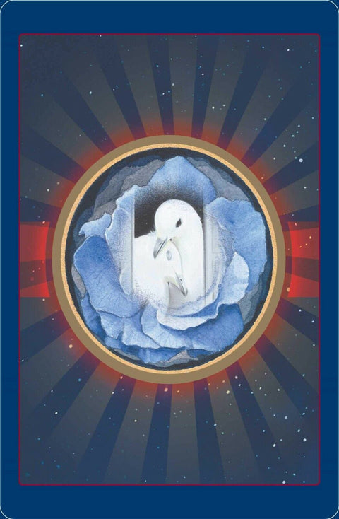 tarot korta – mėlynoje rožėje ir apskritame auksiniame rėme dvi baltos balandžių figūros ant naktinio žvaigždėto fono