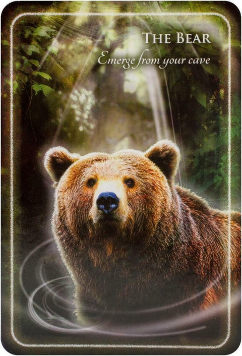 Animal Whispers Empowerment kortosHOBI.LT 🇱🇹