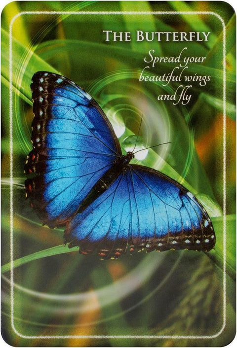 Animal Whispers Empowerment kortosHOBI.LT 🇱🇹