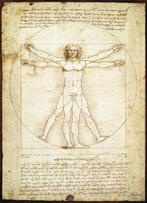 Leonardo da Vinci „Vitruvijaus žmogus“ 1000 detalių dėlionė 50x70 cm