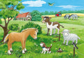 Baby Animals on The Farm 2 x 12 Puzzles - RAVENSBURGER dėlionėHOBI.LT 🇱🇹