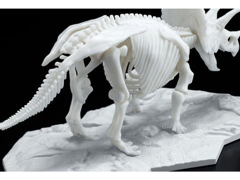 Bandai Triceratops Limex skeletas 1/32 – plastikinis surinkimo rinkinys