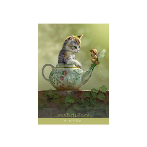 Barbieri Fantasy Cats Oracle kortosHOBI.LT 🇱🇹
