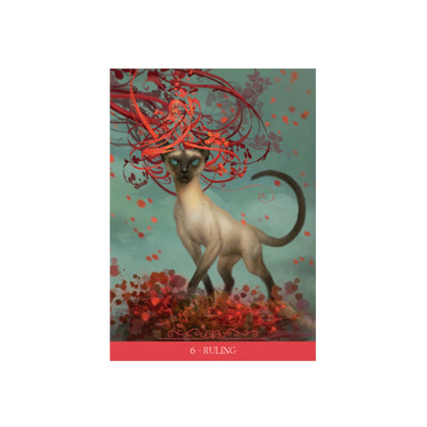 tarot korta su Siamo katinu ir raudonomis gėlėmis, kortos priekinis dizainas pažymėtas skaičiumi 6 RULING