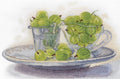 Berry Still Life SNV - 622 siuvinėjimo rinkinys iš MP StudijaHOBI.LT 🇱🇹