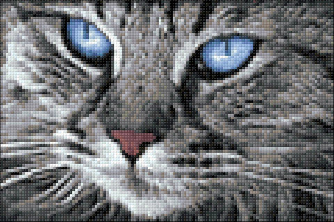 Blue - Eyed Cat 30х20 Deimantinio Paveikslo komplektas Cs2517HOBI.LT 🇱🇹