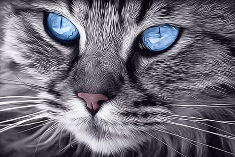 Blue - Eyed Cat 30х20 Deimantinio Paveikslo komplektas Cs2517HOBI.LT 🇱🇹