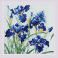 Blue Irises. Siuvinėjimo rinkinys iš RIOLIS Nr.: 2102HOBI.LT 🇱🇹