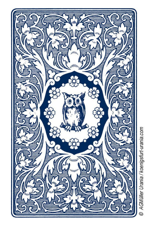 Blue Owl Tarot KortosHOBI.LT 🇱🇹