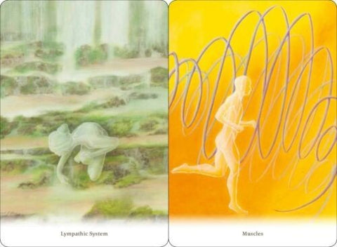 Body healing Cards kortosHOBI.LT 🇱🇹