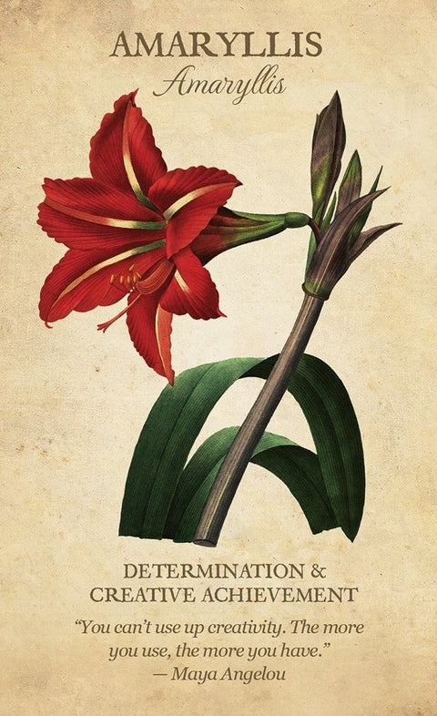 Botanical Inspirations kortosHOBI.LT 🇱🇹
