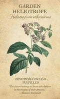 Botanical Inspirations kortosHOBI.LT 🇱🇹
