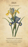Botanical Inspirations kortosHOBI.LT 🇱🇹