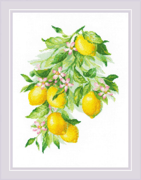 Bright Lemons Siuvinėjimo rinkinys iš RIOLIS Nr.: 2054HOBI.LT 🇱🇹