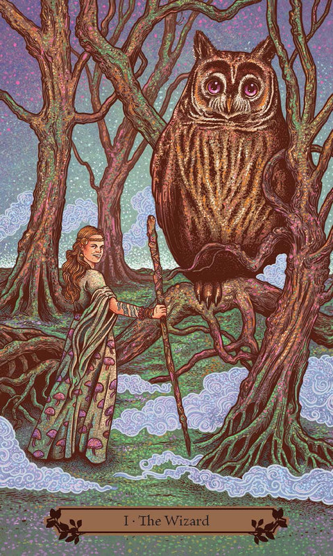 Hedgewitch taro kortos raganoms – Llewellyn, 78 kortų su vadovu