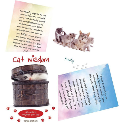 Cat Wisdom kortosHOBI.LT 🇱🇹