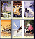 Cats Eye Tarot kortosHOBI.LT 🇱🇹