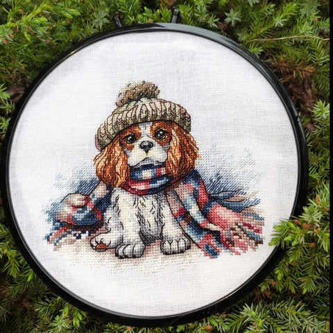 Cavalier King Charles spanielis – kryželiu siuvinėjimo rinkinys AVA