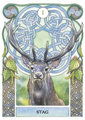 Celtic Astrology Oracle KortosHOBI.LT 🇱🇹