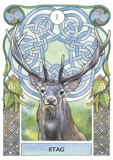 Celtic Astrology Oracle KortosHOBI.LT 🇱🇹