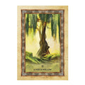 Celtic Tree Oracle kortosHOBI.LT 🇱🇹