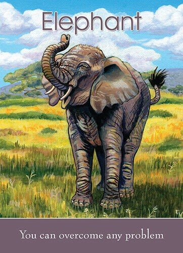 Childrens Spirit Animal KortosHOBI.LT 🇱🇹