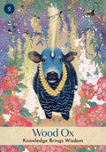 Hay House: Chinese Five Elements Oracle kortos Hay House - HOBI.LT 🇱🇹