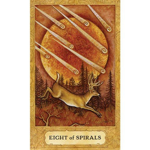 Chrysalis Tarot kortosHOBI.LT 🇱🇹