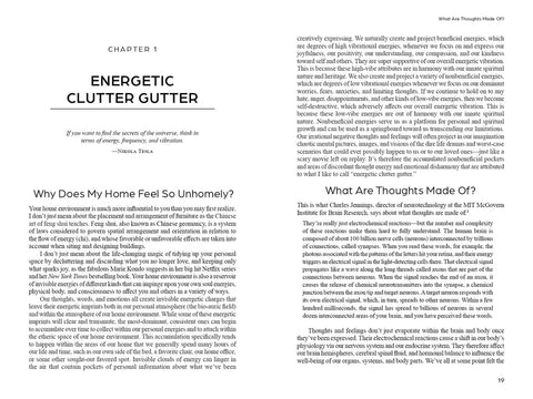 Knyga: dvipusis interjero pavyzdys – 1 skyrius "Energetic Clutter Gutter", didelė antraštė, Nikolos Teslos citata ir dvi tekstinės kolonos