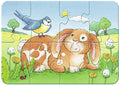 Ravensburger: Cute Pets Jigsaw Puzzle - RAVENSBURGER dėlionė - HOBI.LT 🇱🇹