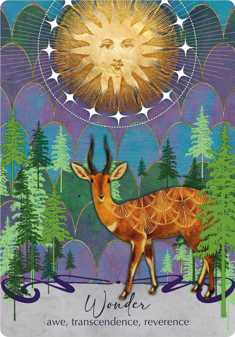 Pabudimo orakulas – 44 kortų kaladė su vadovu, Weiser Books