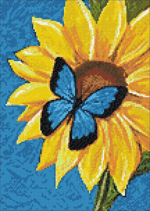 Wizardi: Deimantinis paveikslas Butterfly and Sunflower WD031 - HOBI.LT 🇱🇹