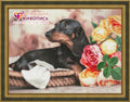 HOBI.LT 🇱🇹: Deimantinis paveikslas Dachshund AZ - 1457 Dydis: 40х30 - HOBI.LT 🇱🇹