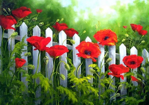 Wizardi: Deimantinis paveikslas Garden Poppies WD008 38*27 cm - HOBI.LT 🇱🇹